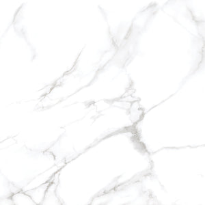 Silver Moon 24x24 Polished Marble Look Porcelain Tile