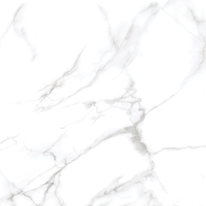 Silver Moon 24x24 Polished Marble Look Porcelain Tile 4