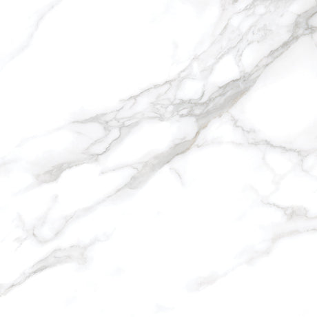 Silver Moon 24x24 Polished Marble Look Porcelain Tile