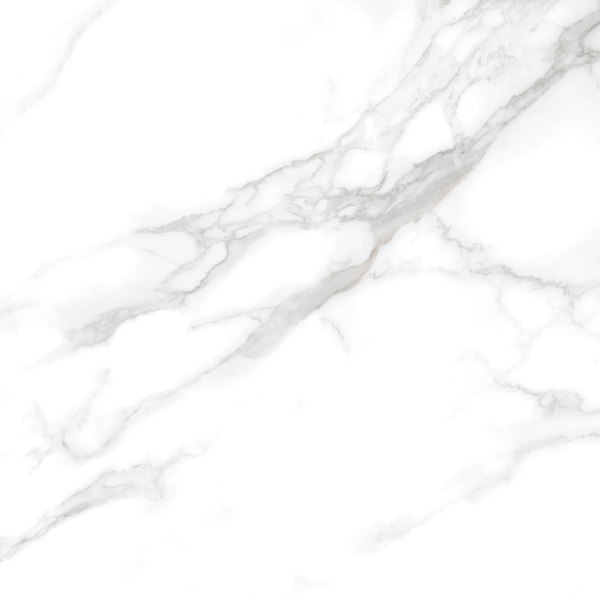 Silver Moon 24x24 Polished Marble Look Porcelain Tile