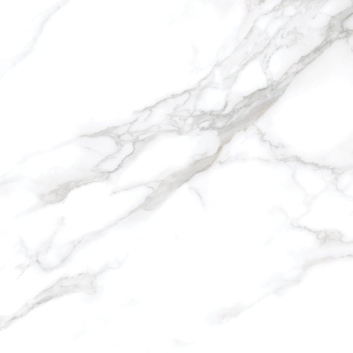 Silver Moon 24x24 Polished Marble Look Porcelain Tile 1
