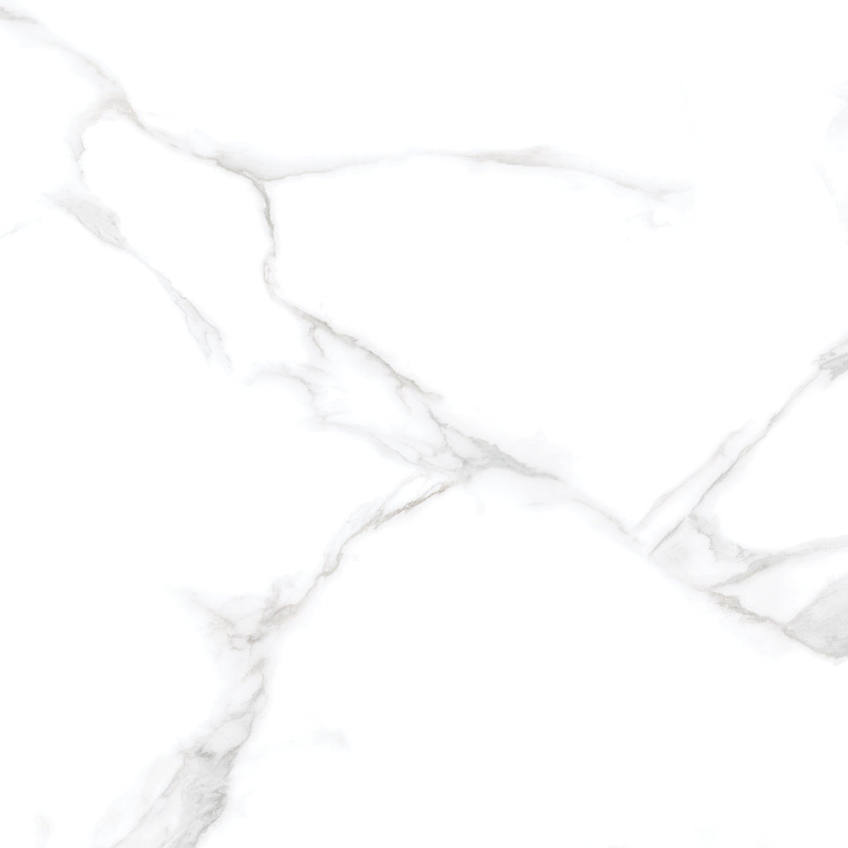 Silver Moon 24x24 Polished Marble Look Porcelain Tile