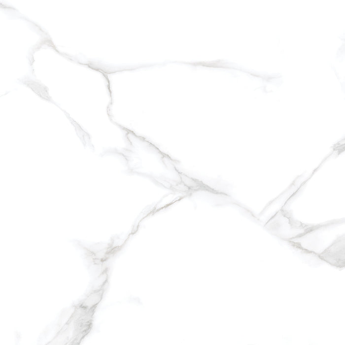 Silver Moon 24x24 Polished Marble Look Porcelain Tile 5