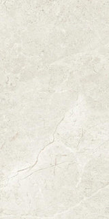 T113513