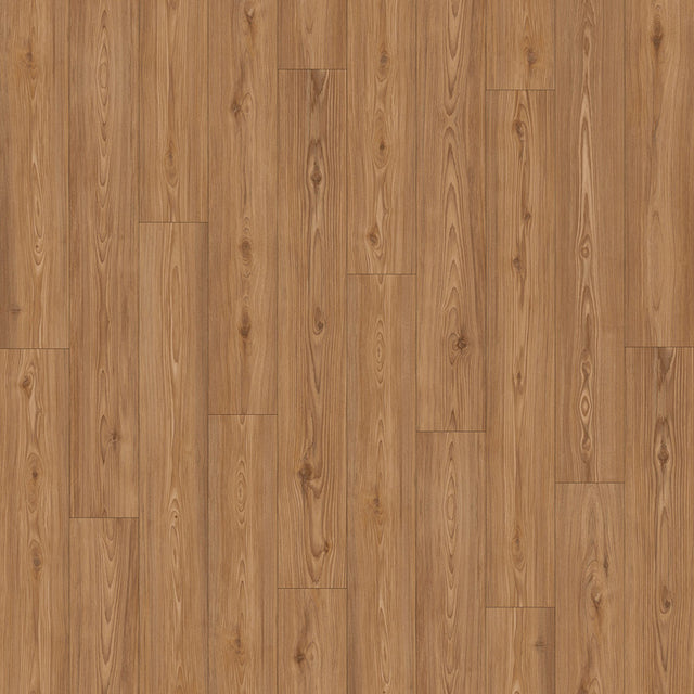 Bay of Fundy Tides PVC Free Flooring in Tidewall
