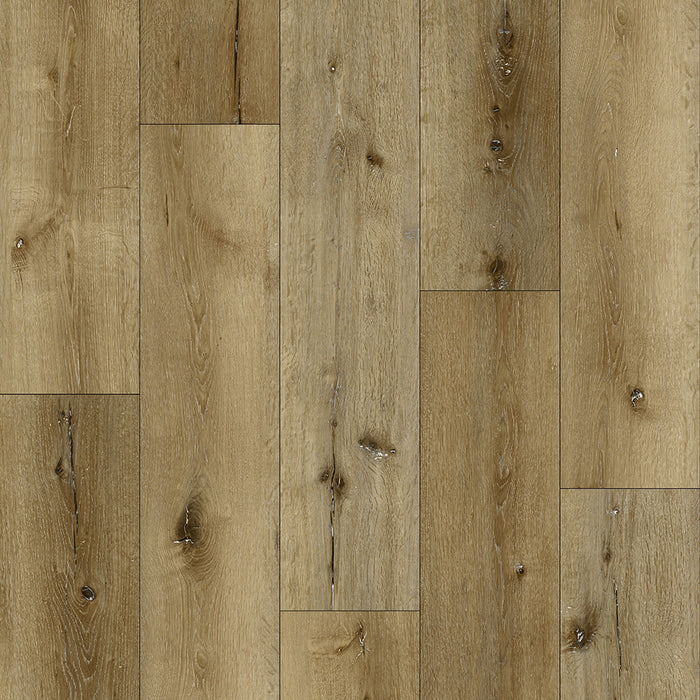 Harvest Grove SPC Vinyl Flooring 1