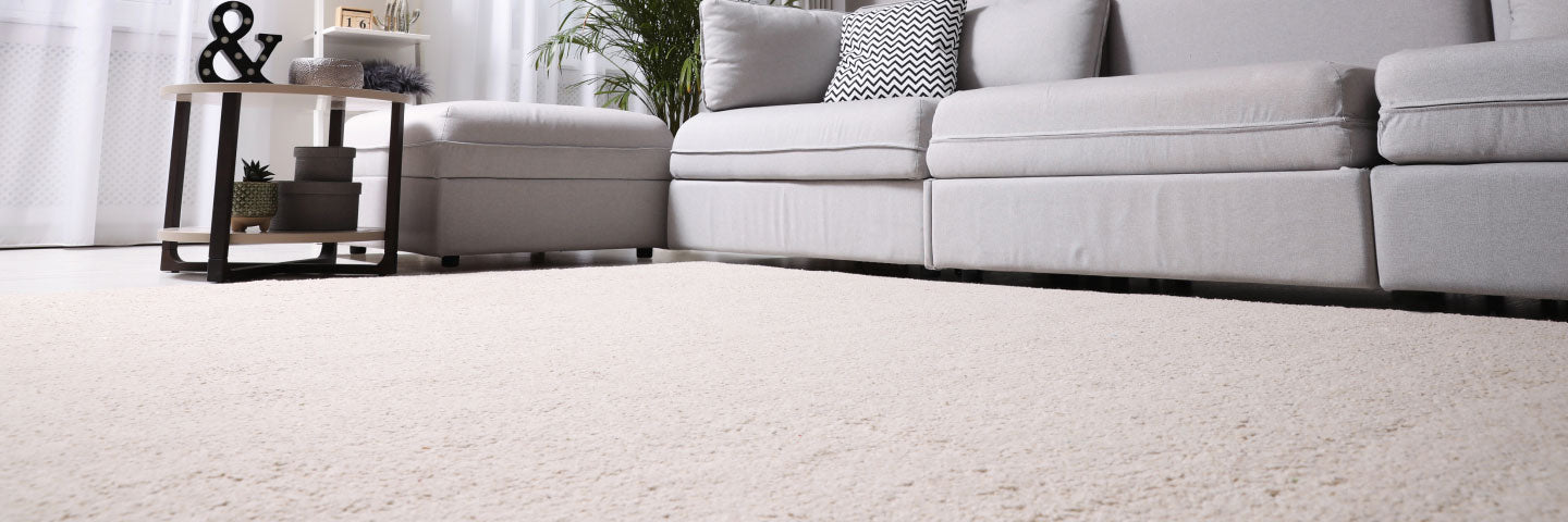 Plush Carpet-In-A-Box – BuildDirect