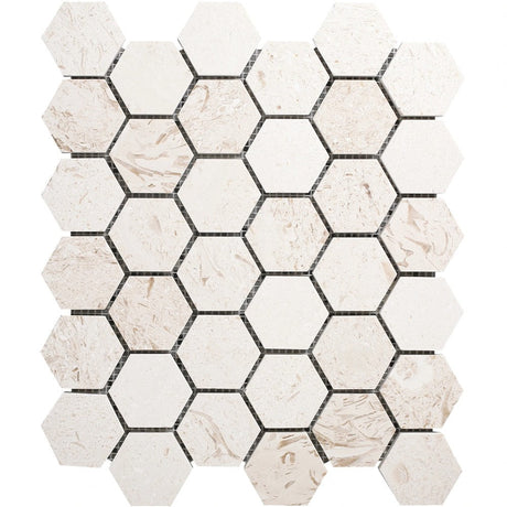 Shell stone marble mosaic 2 hexagon honed on 12x12 mesh sku hsss2hexmosh 4