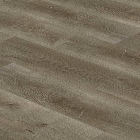 Affluent Wood-Look Waterproof Vinyl Plank Flooring in Stone